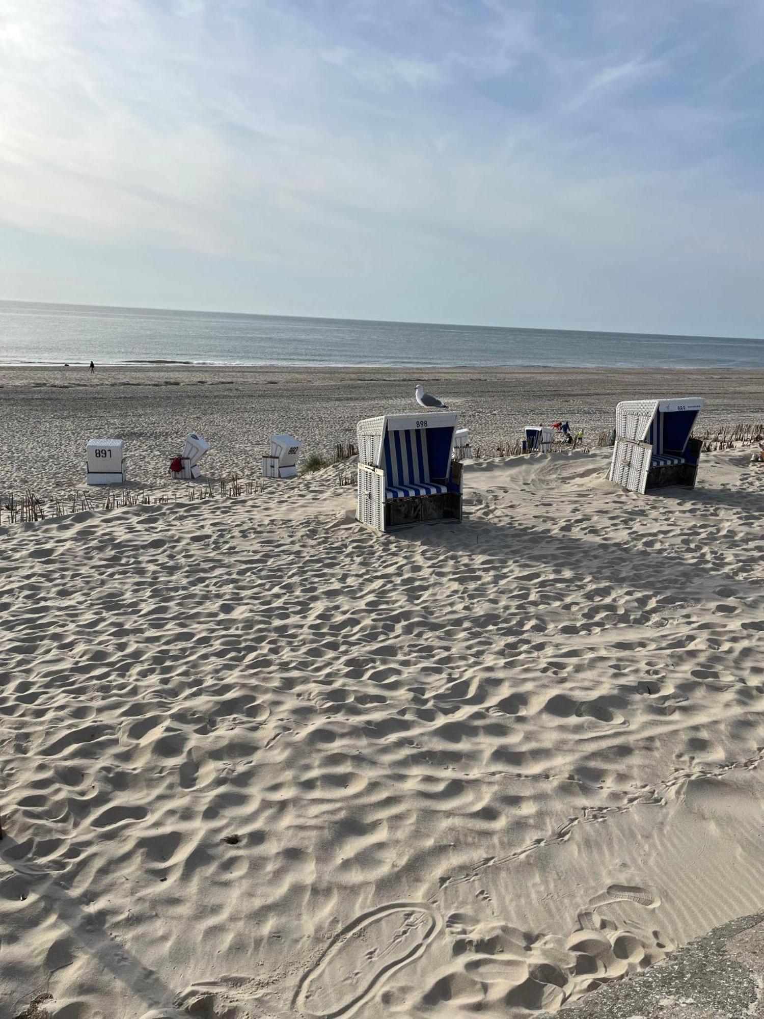 404 Seemöwe Westerland